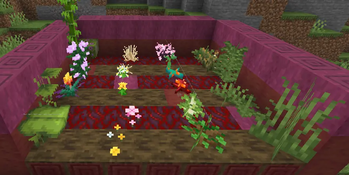 A variety of plants placed on logs and stems.