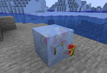 Item frozed in ice block