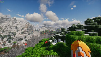 20 chunks