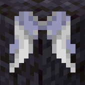 Feathered Elytra