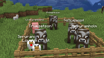 Named Animals