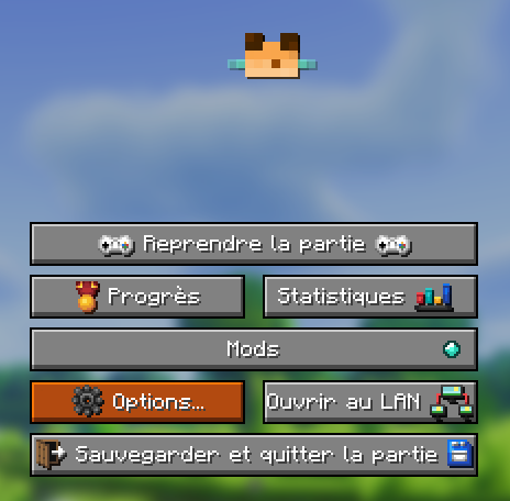 Interface
