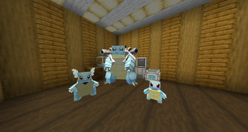 Squirtle Family