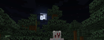 night