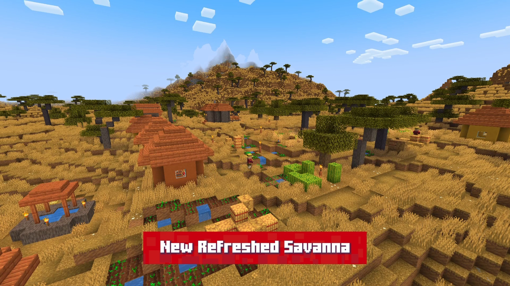 New Refreshed Savanna