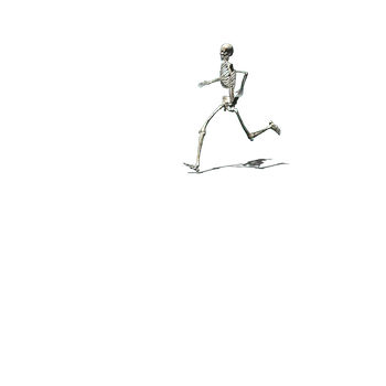 skeleton