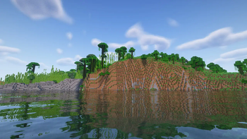 Jungle