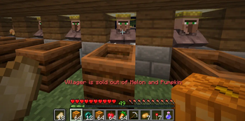 Villager Out of Stock