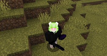 Bulletproof Vest w/ Void Sword and cookies