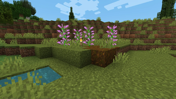 Full grass and podzol for smooth paths