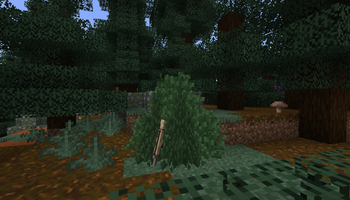 bush