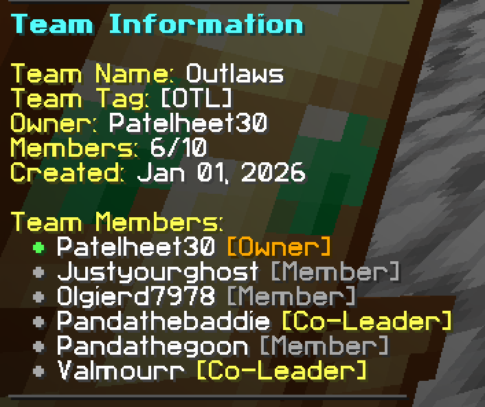Team Information Panel