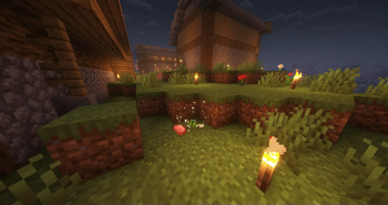 Plains, particles and physics