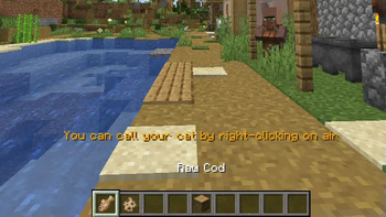 Call cats with fish