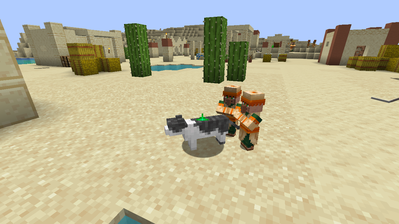 villagers petting