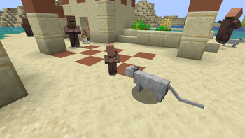 Villager feeding cat