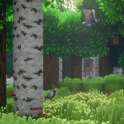 Khaojee Enchanted Visuals