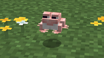he blinks and looks left and right sometimes