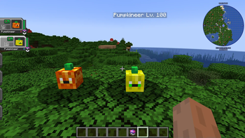 Pumpkineers (shiny & normal)