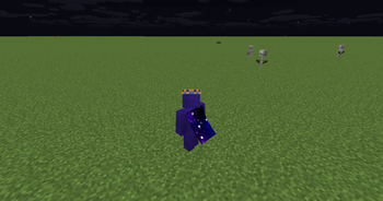 Custom Capes
