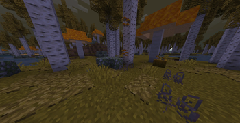 Deep in the Woods