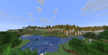 Aspen Forest