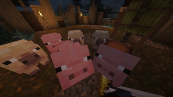Pigs Plus