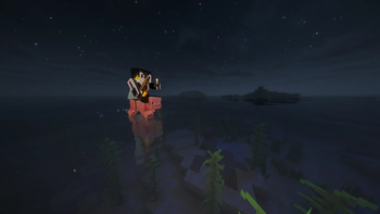 Late Night Swim