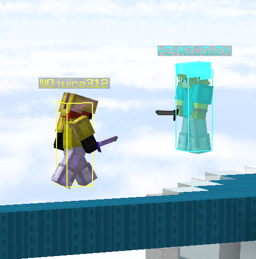 Custom Hitbox