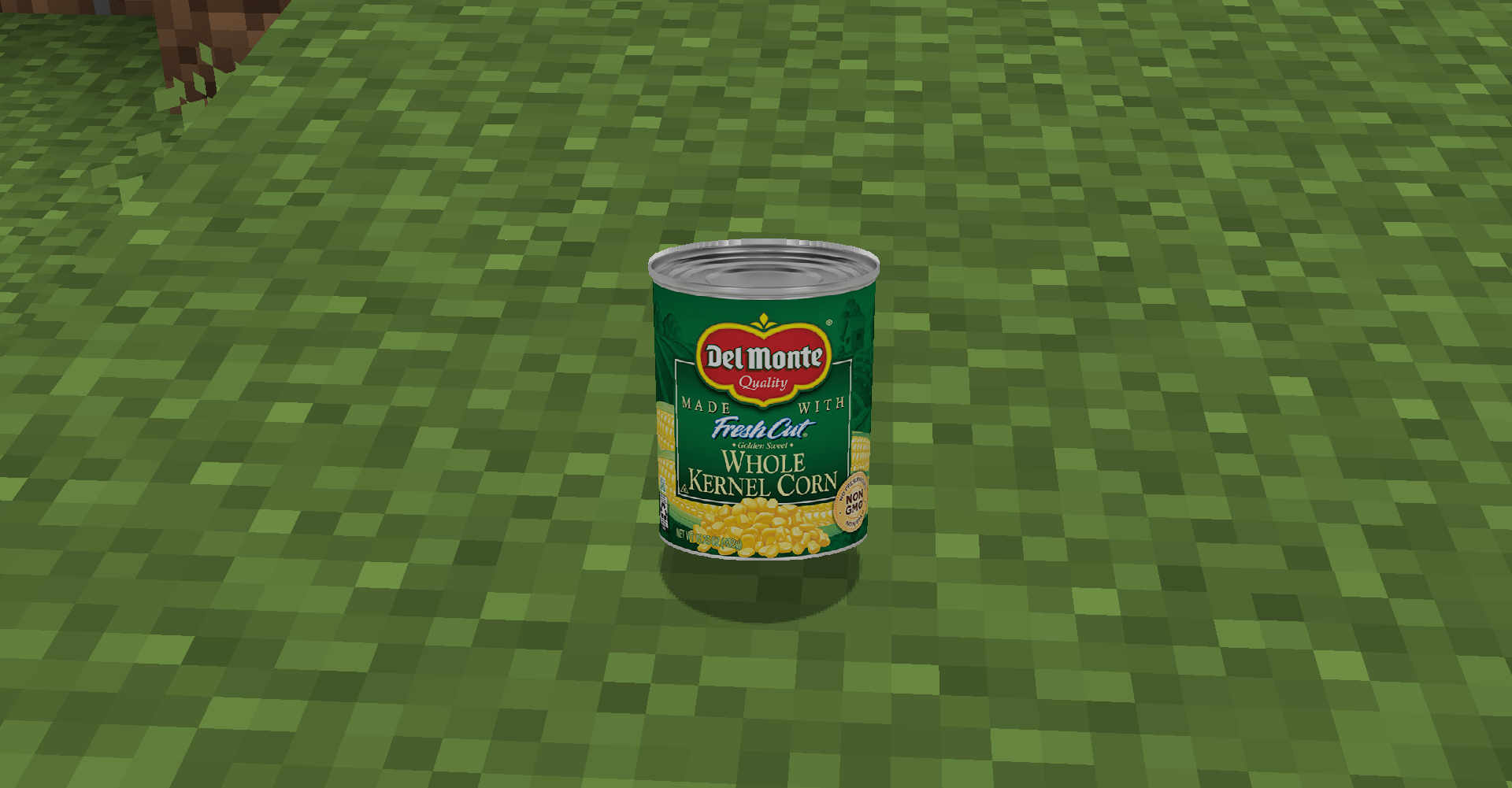 The Can of Corn on the ground