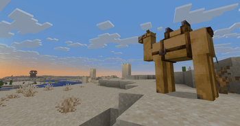 Lone Camel On Lookout