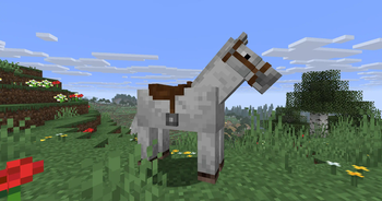 Horse