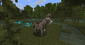 Donkey