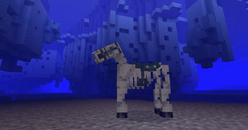 Skeleton Horse (underwater)