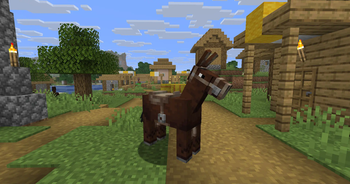 Mule
