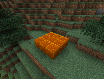 "Mosh Pit" Platform