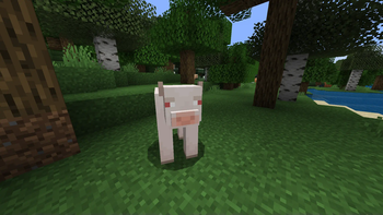 MC Earth for 1.21.5(1.21)