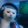 Tenoych