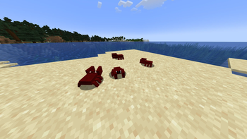 Crabs