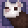 Fancy Ferrets!