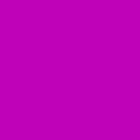 Magenta Wool