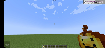 In game view