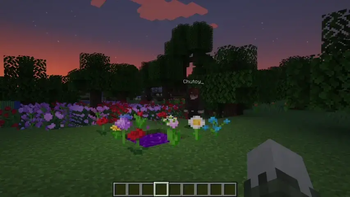 Works with modded dimensions!