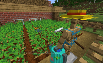Gardener's garden