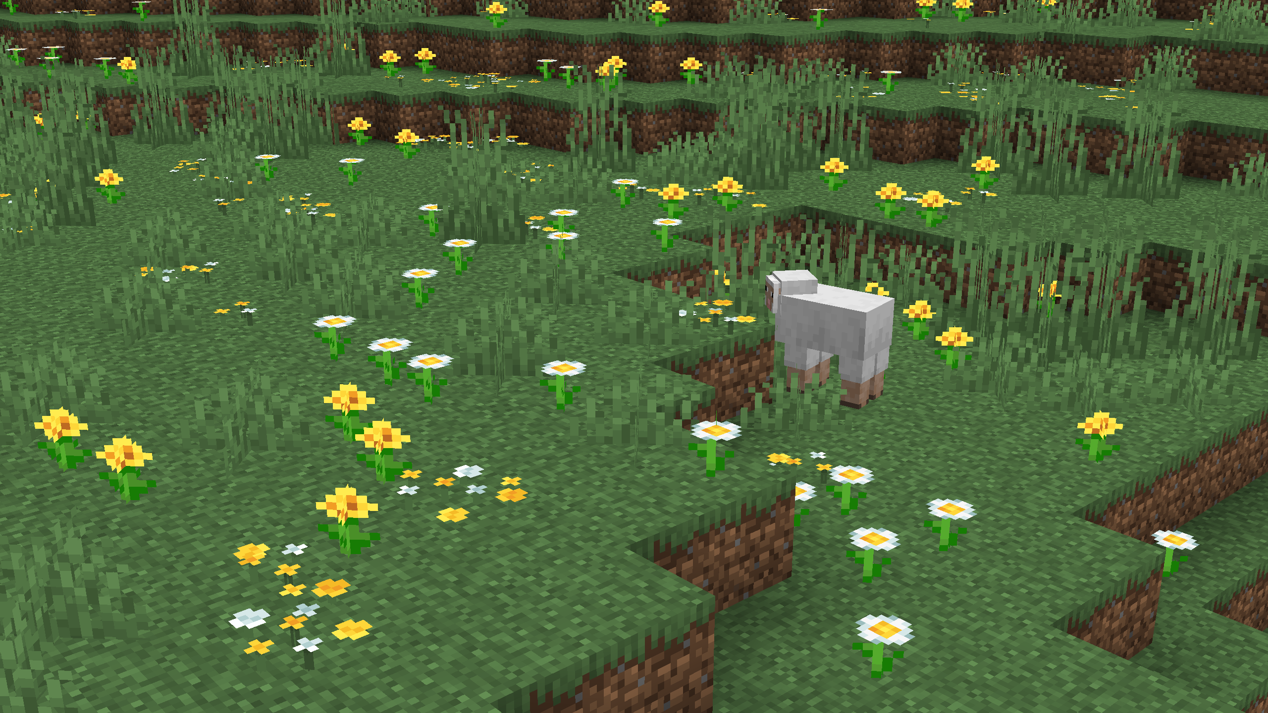 Minecraft scene showcasing remodeled oxeye daisy flowers in a meadow