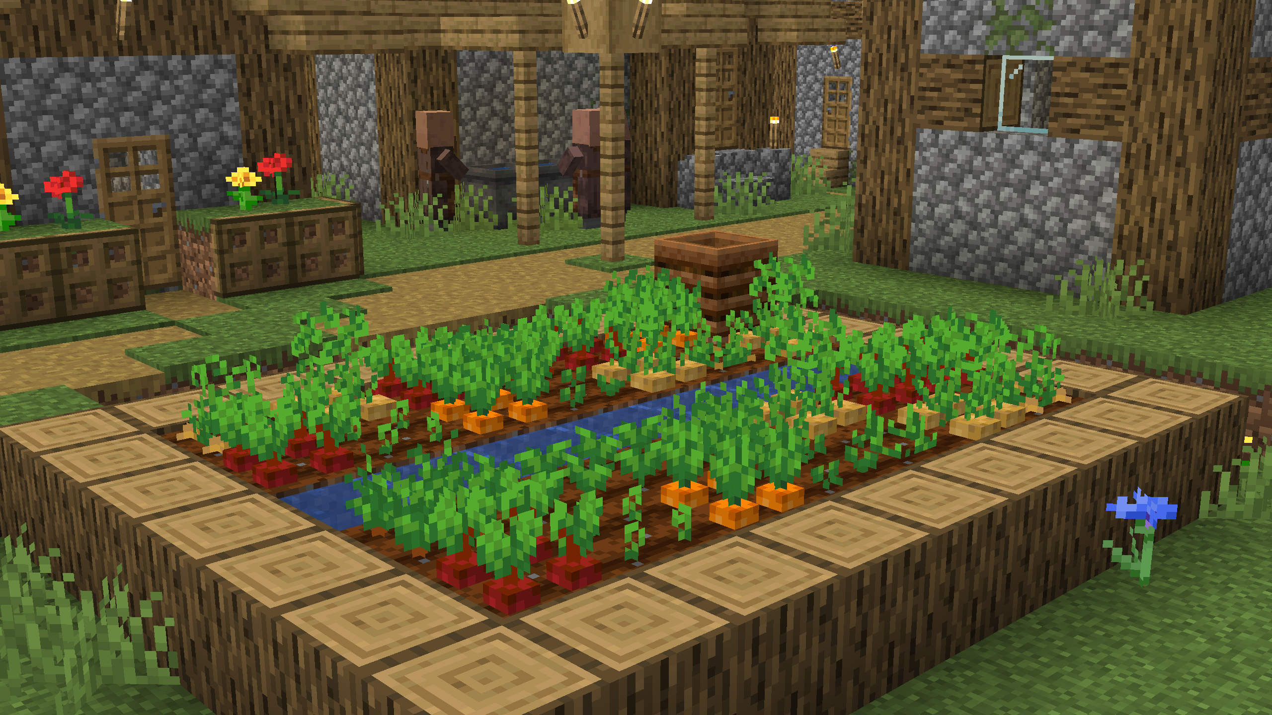 Minecraft scene showcasing remodeled carrots, beetroots and potatoes in a village