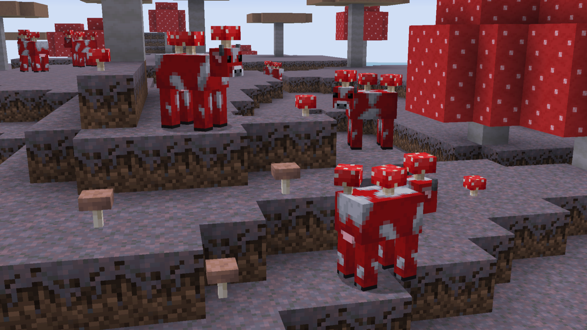 Minecraft scene showcasing remodeled mushrooms on a mushroom island