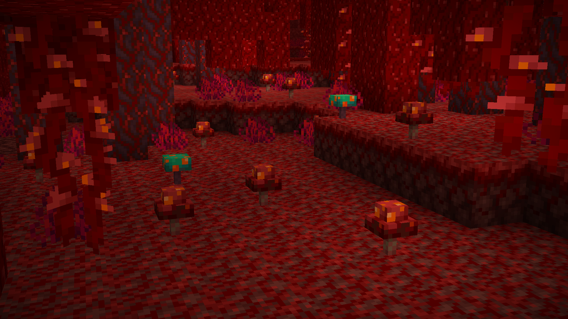 Deep Fungi (no they don't glow)