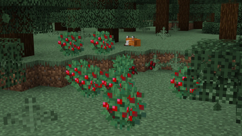 Sweet Berry Bushes