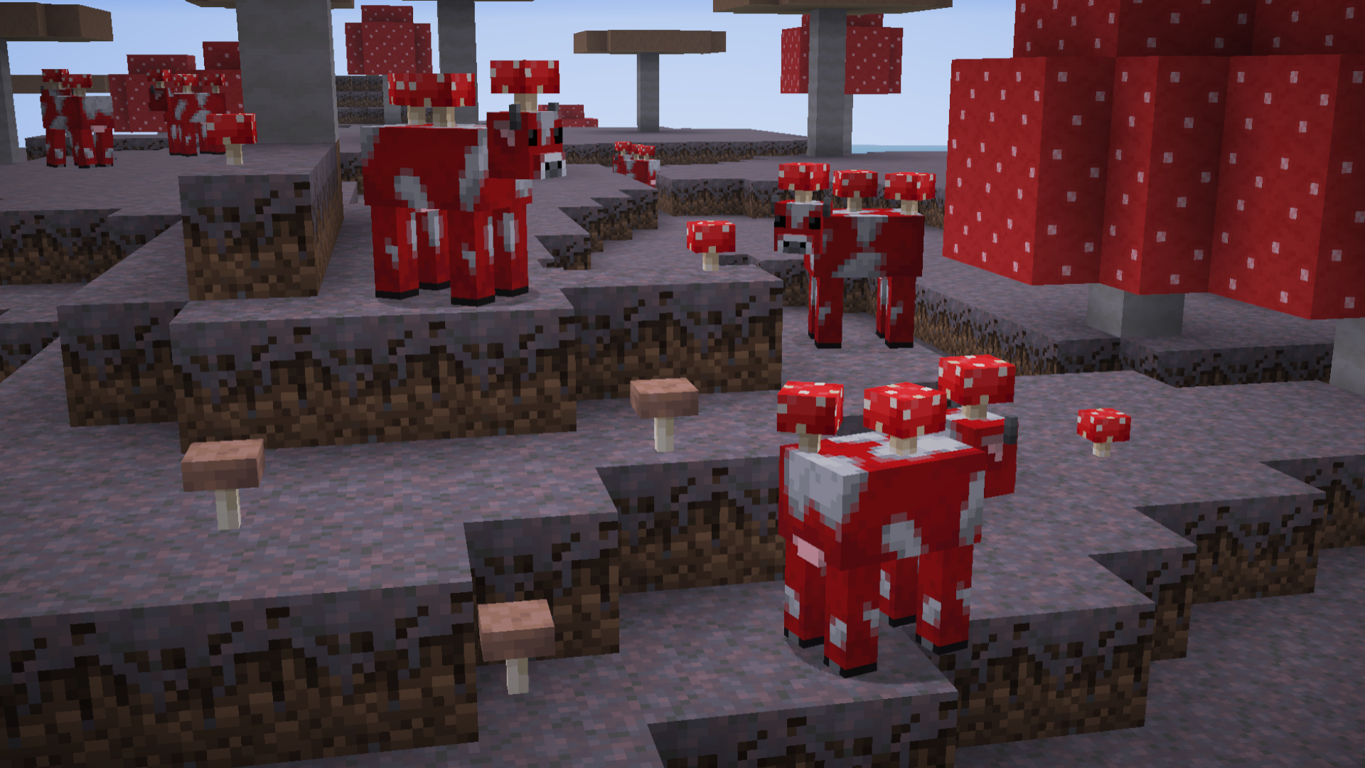 Mushrooms are now Deeper than ever